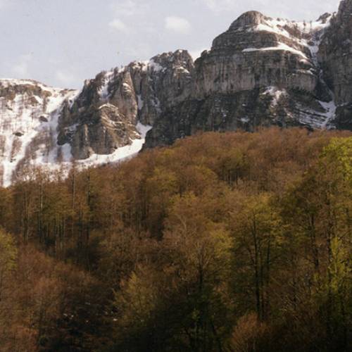 MONTE CERVATI