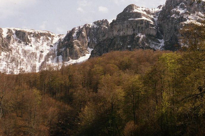 MONTE CERVATI